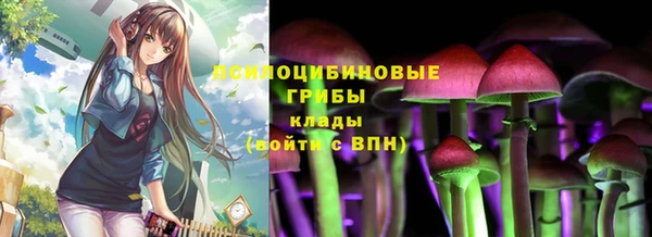 Альфа ПВП Баксан