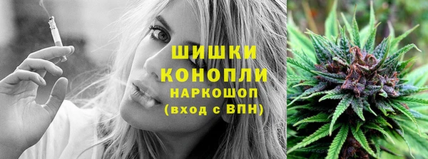 СК Аркадак