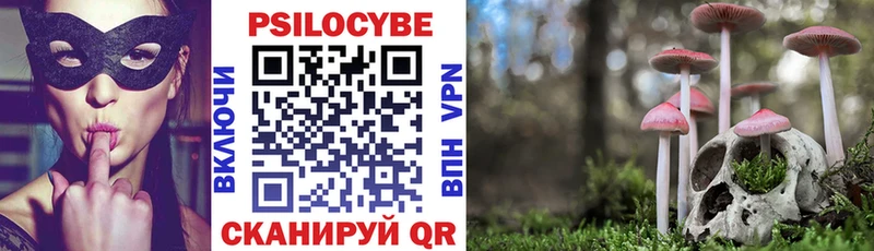 Псилоцибиновые грибы Psilocybe  Кувандык 